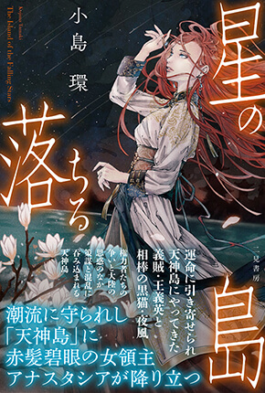 星の落ちる島 表紙